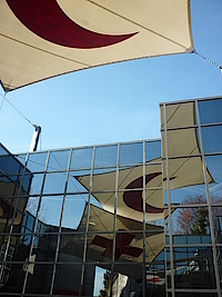 The International Committee of the Red Cross (ICRC)