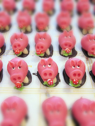 mehrere Reihen Glücksschweine aus Marzipan